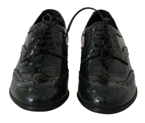 Green leather brogue Oxford wingtip shoes by Dolce & Gabbana, featuring detailed wingtip design and classic lace-up style.