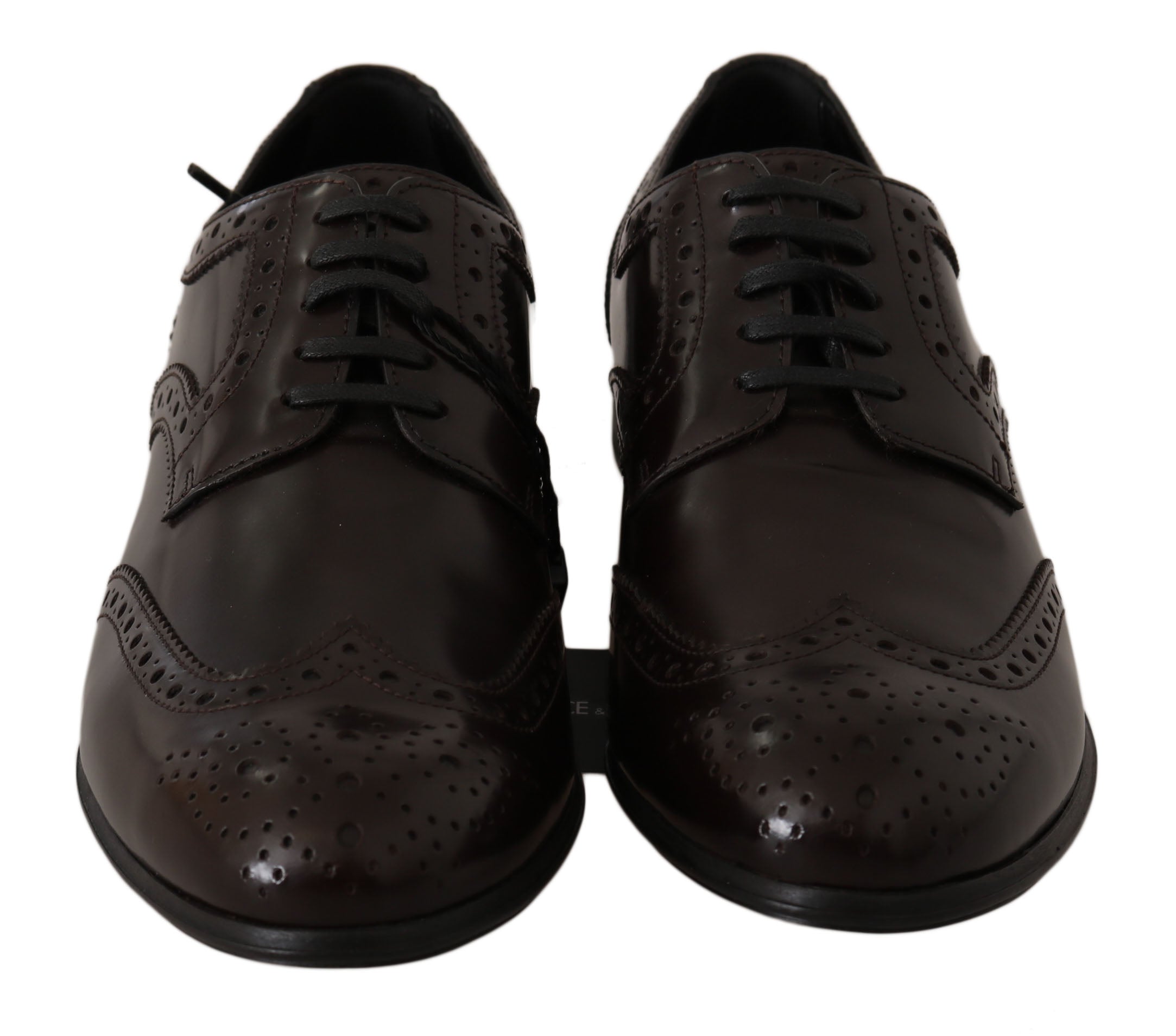 Brown leather brogue oxford wingtip shoes by Dolce & Gabbana, showcasing detailed stitching and classic wingtip design.