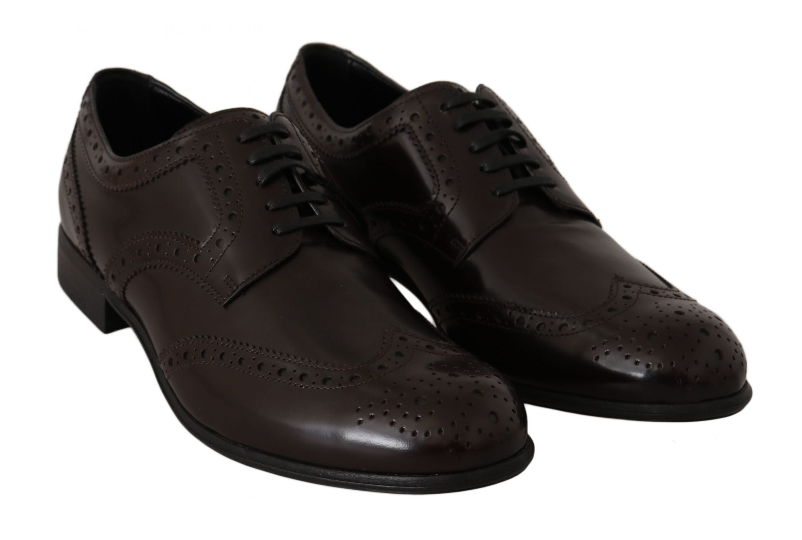 Brown leather brogue oxford wingtip shoes by Dolce & Gabbana with detailed perforations and classic lace-up design.