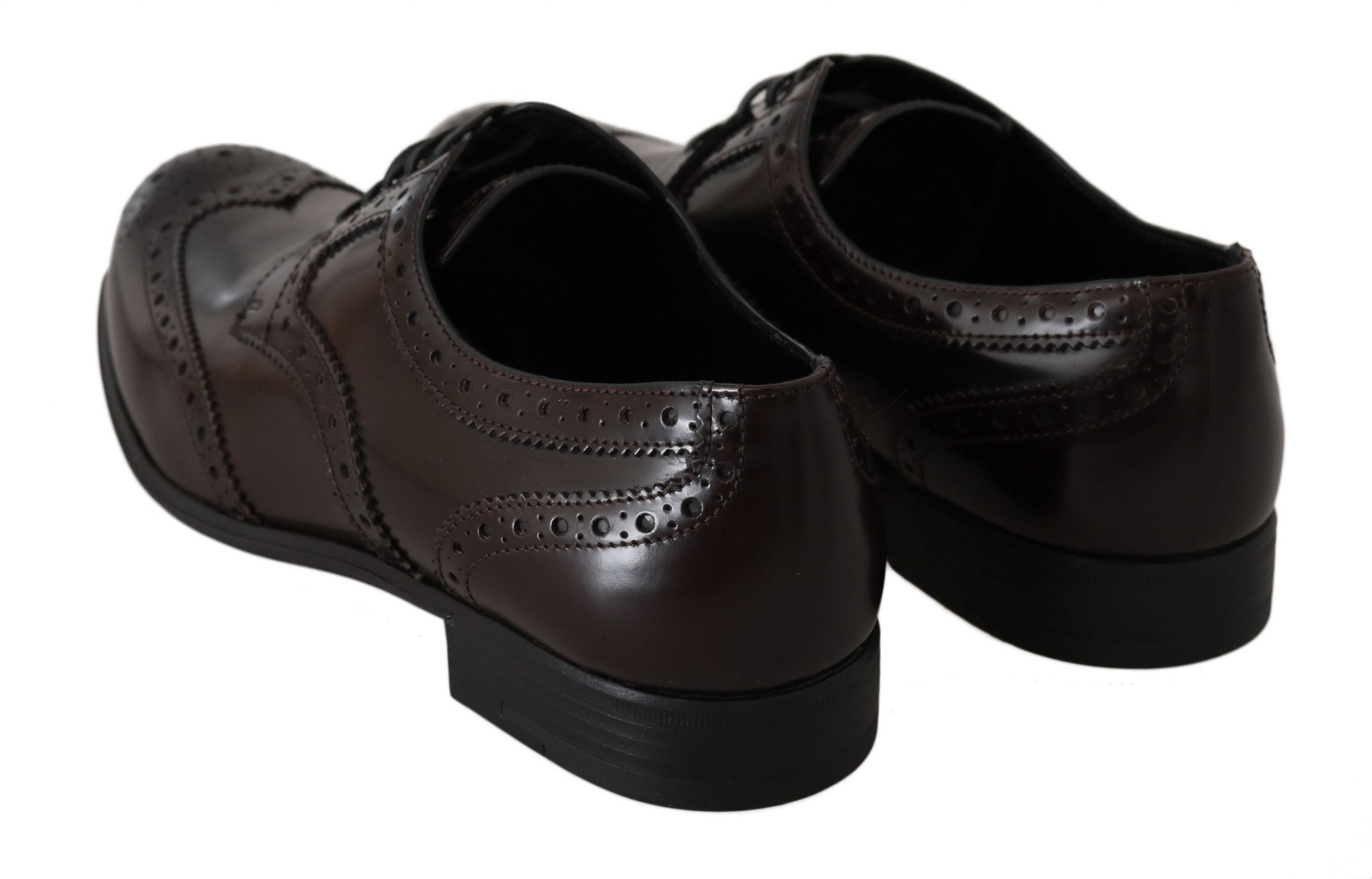 Brown leather brogue oxford wingtip shoes by Dolce & Gabbana with detailed stitching and classic lace-up design.