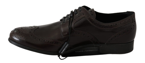 Brown leather brogue Oxford wingtip shoes by Dolce & Gabbana, showcasing detailed stitching and classic wingtip design.