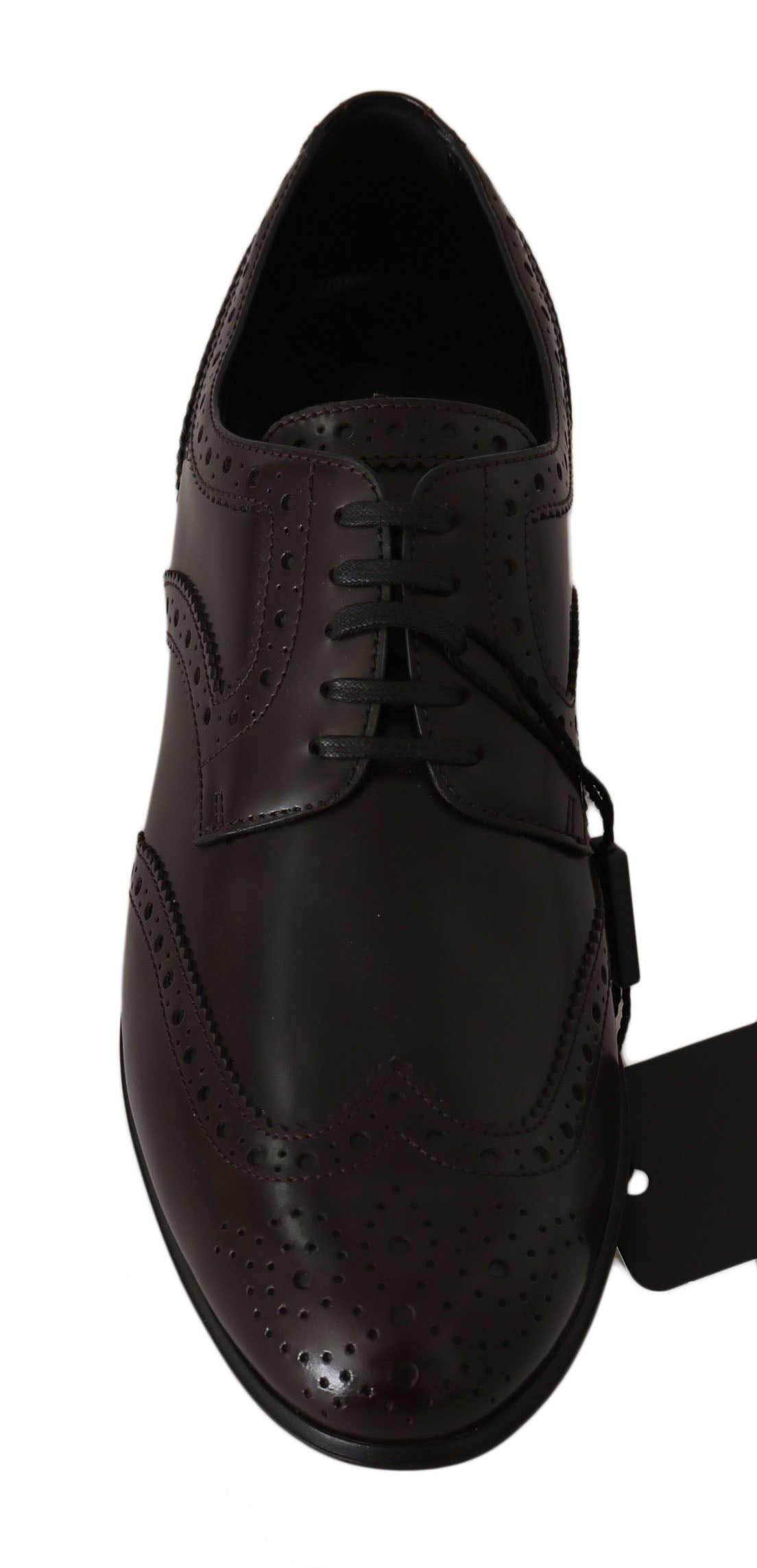 Brown leather brogue Oxford wingtip shoes by Dolce & Gabbana, featuring detailed stitching and classic lace-up design.
