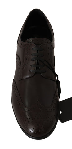 Brown leather brogue Oxford wingtip shoes by Dolce & Gabbana, featuring detailed stitching and classic lace-up design.