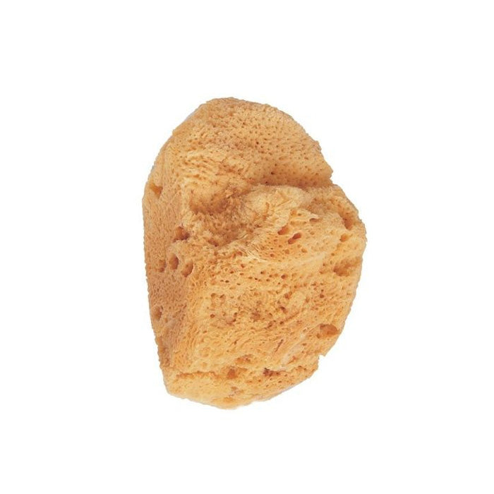 Beter Natural Marine Sponge Bath Sponge Jag Couture London - New York