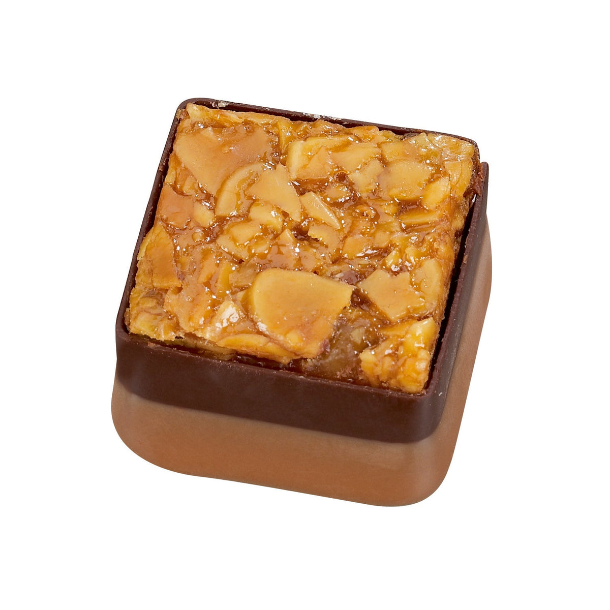 Florentine - hazelnut praline with Florentine top 18g