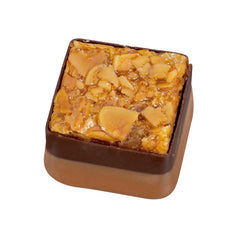 Florentine - hazelnut praline with Florentine top 18g