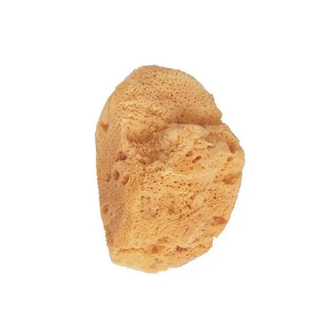 Natural marine bath sponge by Beter, shown in close-up with textured surface, ideal for gentle exfoliation and skin cleansing.
