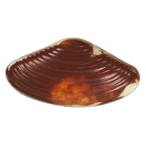 Marbled seashell-shaped praline candies from Jag Couture London, 12.5g per piece, displayed in a tray.