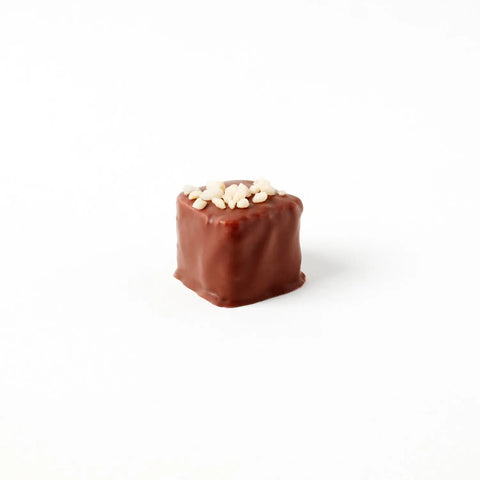 Milk chocolate-covered coconut praline with hazelnuts, 15g, from Jag Couture London-New York, showing the creamy and textured treat.