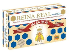 Jag Couture London - New York Robis Reina Real Defensas 20 Amp