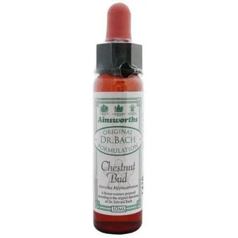 Santiveri Bach Chestnut Bud 10ml homeopathic remedy bottle with label and dropper, displayed on a neutral background