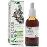 Jag Couture London - New York Soria Extracto Fucus S Xxi 50ml