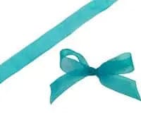 Jag Couture London Fashion Jade Organza Woven Edge Ribbon