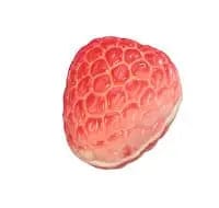 Jag Couture London Fashion White Raspberry - Raspberry Buttercream 9G