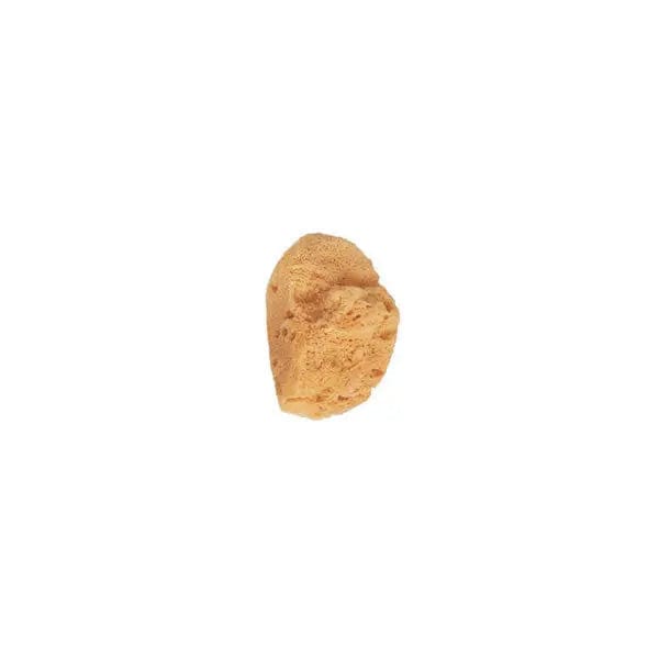 Jag Couture London - New York Beter Small Natural Sea Sponge
