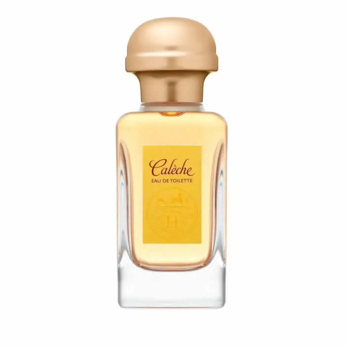 Hermès Calèche Eau De Toilette spray in 100ml bottle, featuring elegant packaging and classic fragrance design.