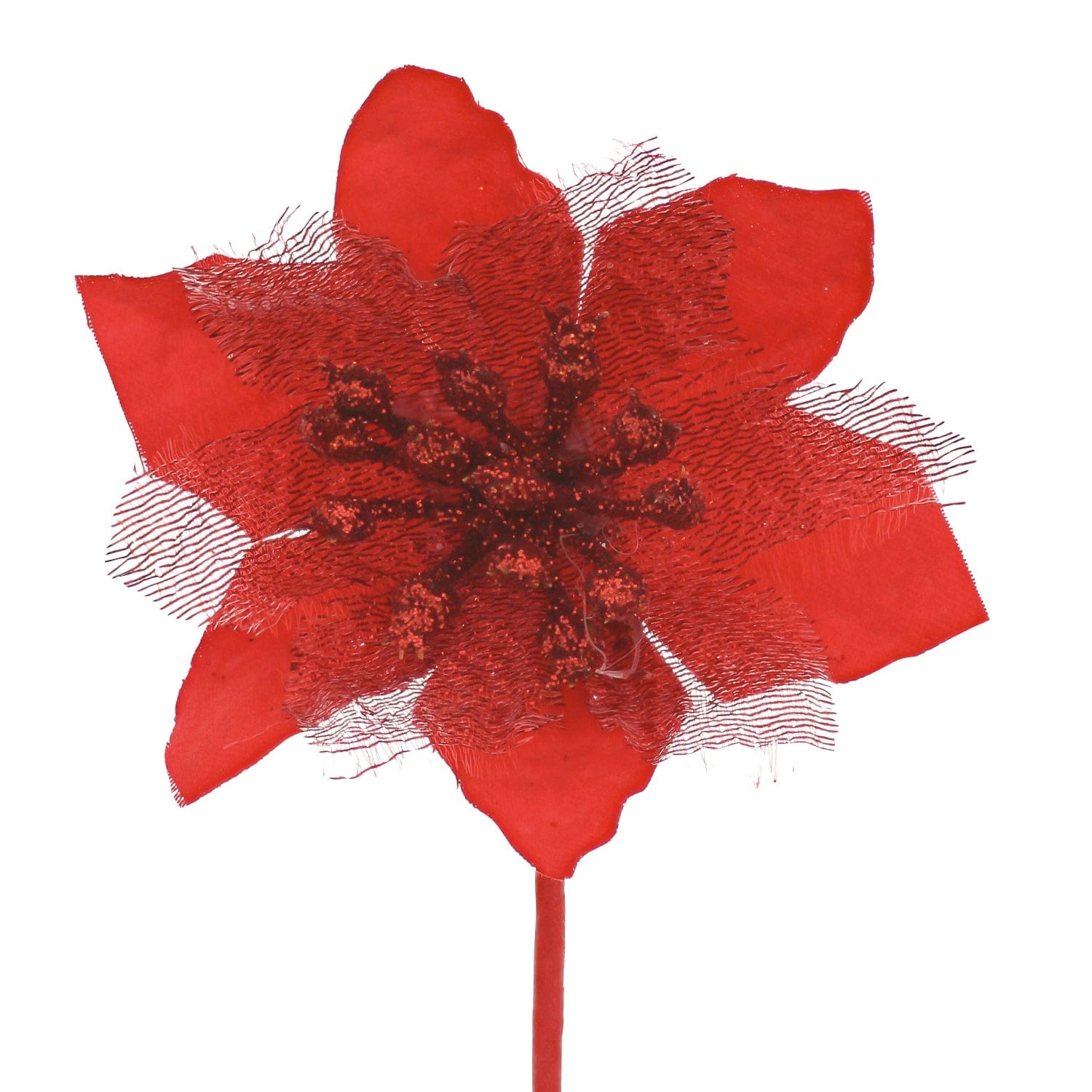 Red poinsettia plant in a 10.5 x 7.5cm pot by Jag Couture London New York, showcasing vibrant red leaves and festive greenery.
