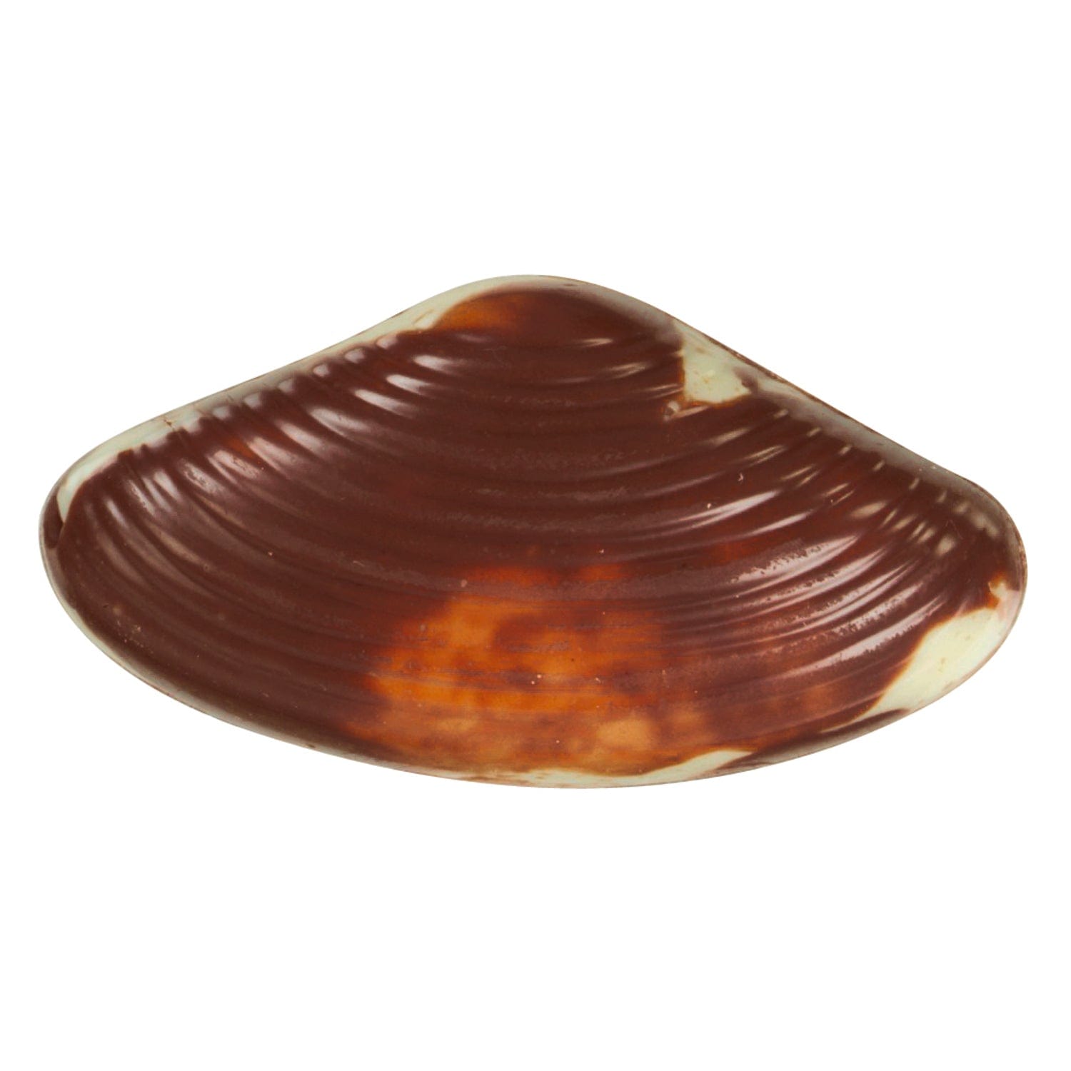 Marbled seashells filled with praline by Jag Couture London, displayed in a tray, showcasing their detailed design and glossy finish.