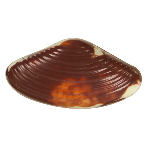 Marbled seashells filled with praline by Jag Couture London, displayed in a tray, showcasing their detailed design and glossy finish.