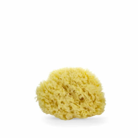 Jag Couture London and New York Lua & Lee Sponge, 1 unit, soft makeup sponge for applying foundation and blending makeup smoothly.