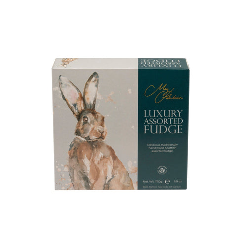Assorted fudge in a Meg Hawkins Hare carton from Jag Couture London New York featuring colorful, bite-sized confections.
