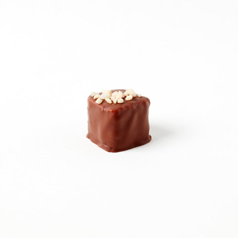 Milk chocolate covered coconut praline with hazelnuts from Jag Couture London New York, 15g, shown in the image.