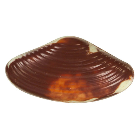Praline-filled marbled seashells from Jag Couture London, 12.5g, displayed in 14 trays with detailed marbled shell designs.