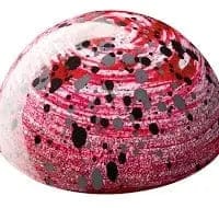 Jag Couture London Picasso Cranberry & Yoghurt - Cranberry Jelly Topped With Yoghurt Ganache In Subtle White Chocolate