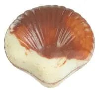 Jag Couture London Seashells - Praline Filled Marbled Seashells 12.5G - 14 Trays